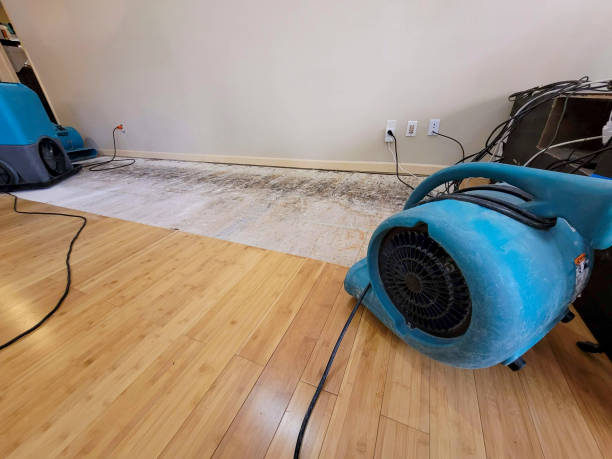Professional Water Removal technician working in Conklin, MI